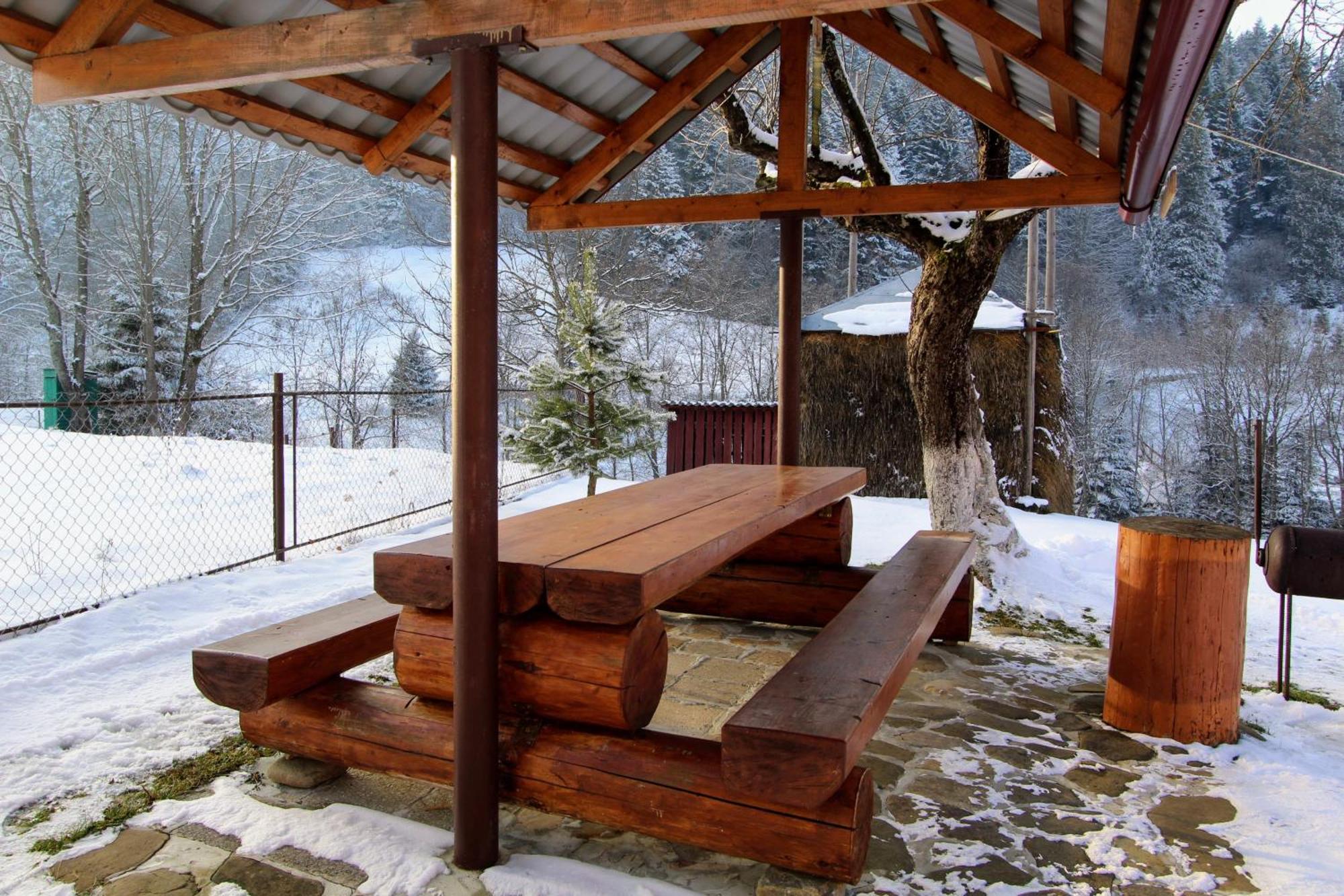 Карпатська Полонина Apartment Yaremche Luaran gambar